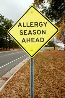 Amazing Tips To Help You Get Through Allergy Season | Globe Life