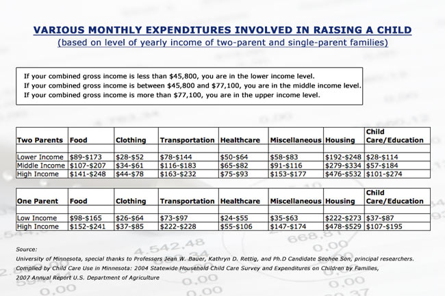 Costs Per Month Based on Income
