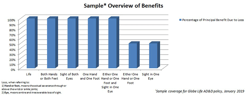 Sample Overview of Benefits
