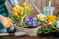 When you don't have a green thumb | Globe Life