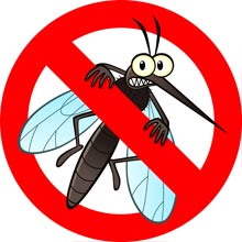 Natural Mosquito Repellants | Globe Life