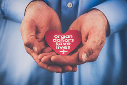 Why Be An Organ Donor? | Globe Life